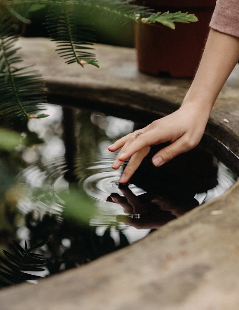 A serene moment of a hand gently touching water, creating ripples in an outdoor garden setting.