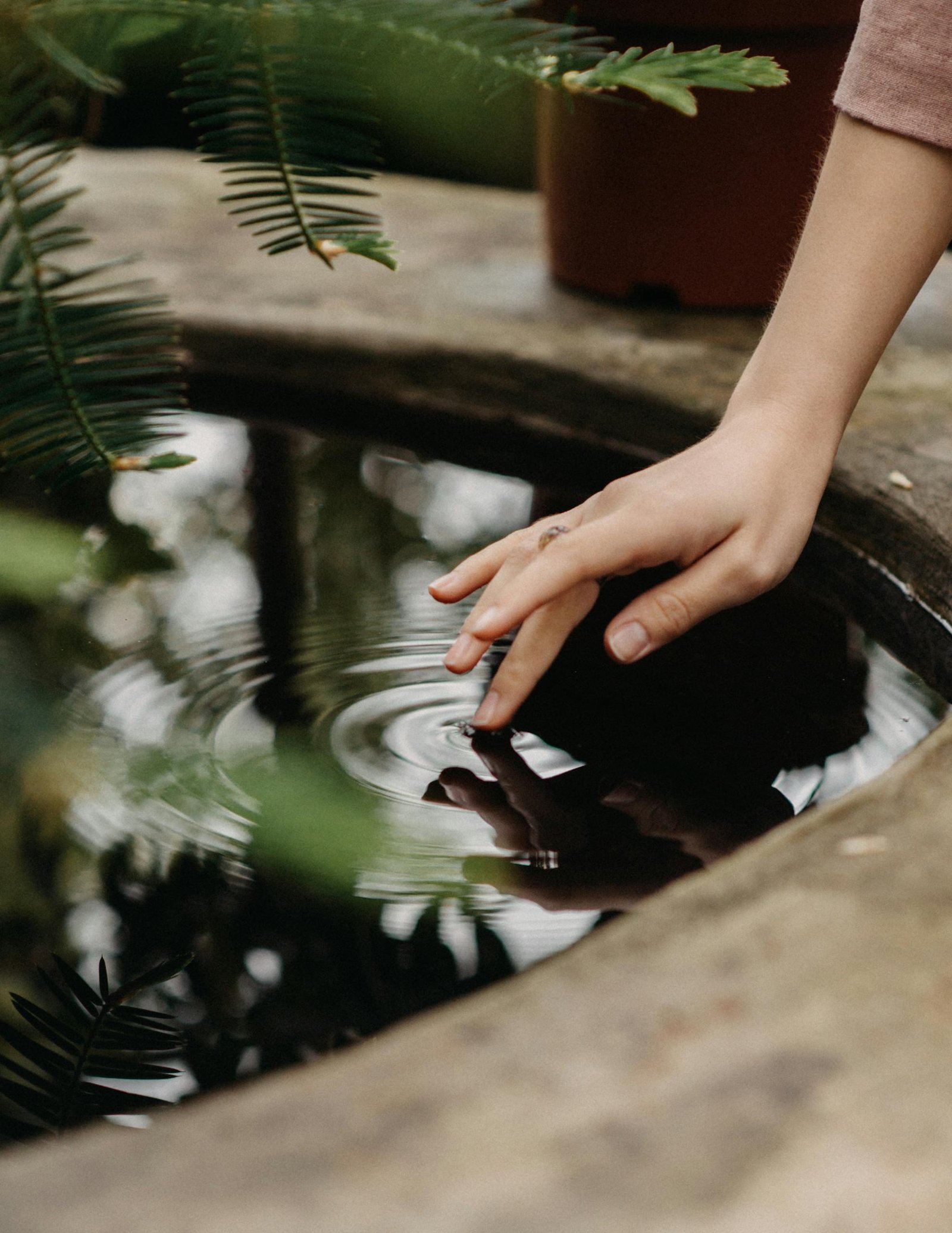 A serene moment of a hand gently touching water, creating ripples in an outdoor garden setting.
