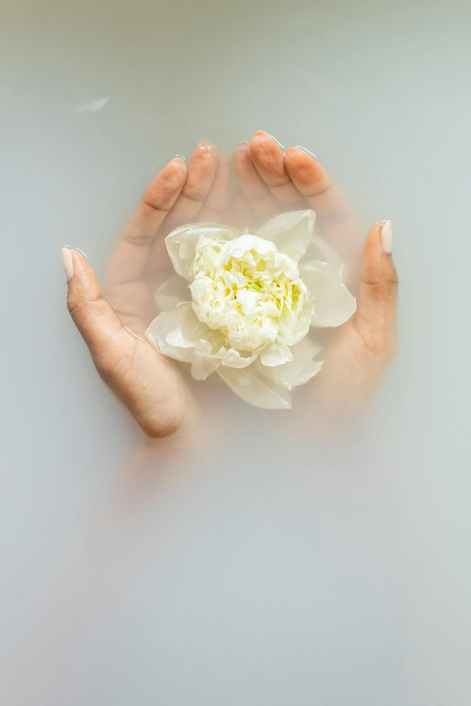 Unrecognizable female with soft manicured hands holding white flower with delicate petals in hands during health and wellness session